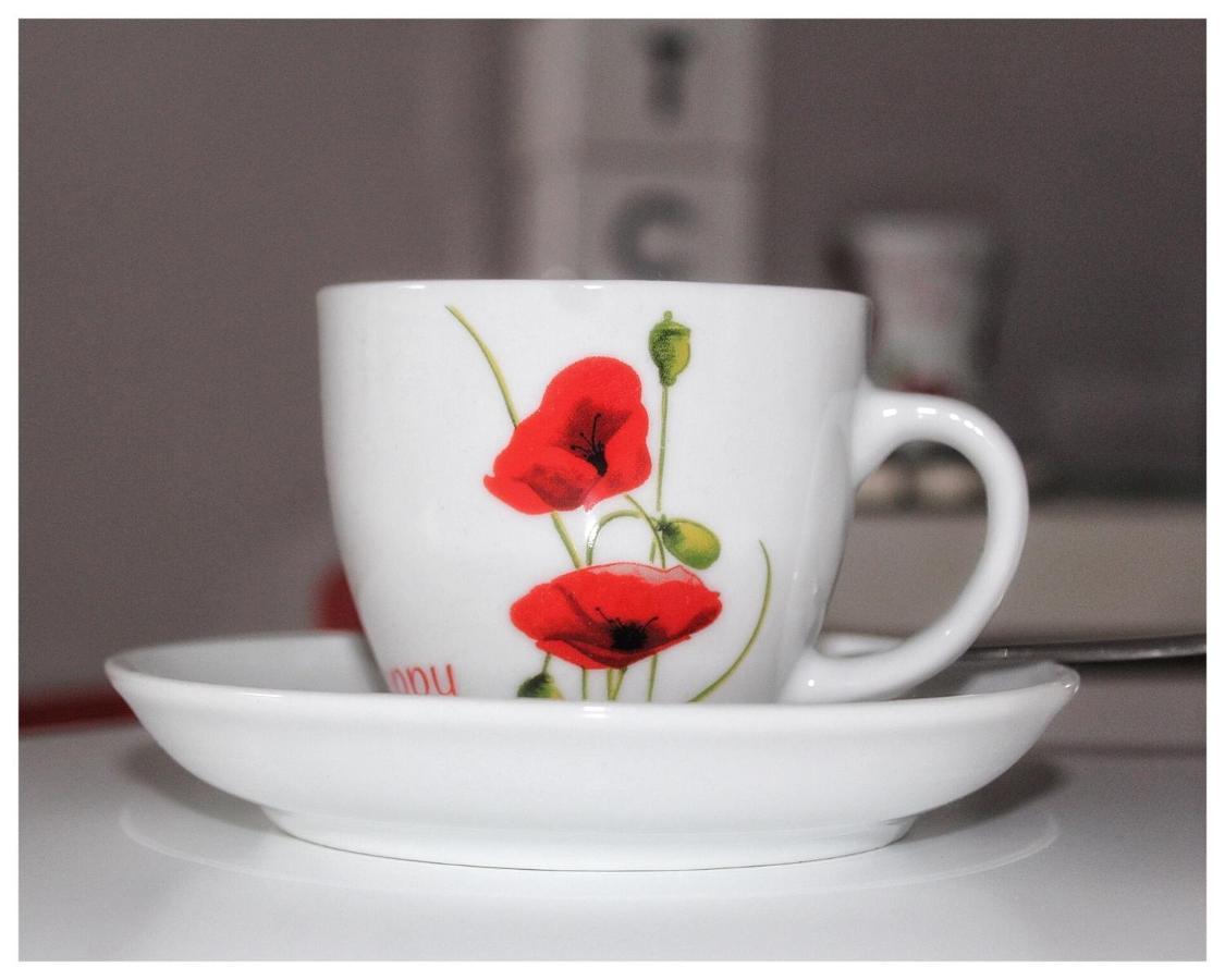 Apartmán Flanders Fields Dingwall Exteriér fotografie